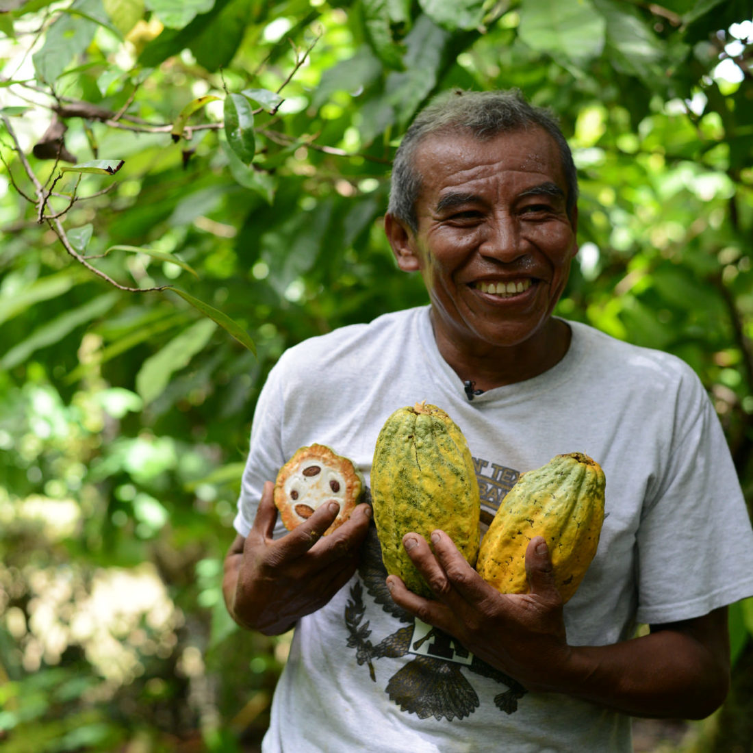Farm To Table Cacao Experience Belize TIDE Tours