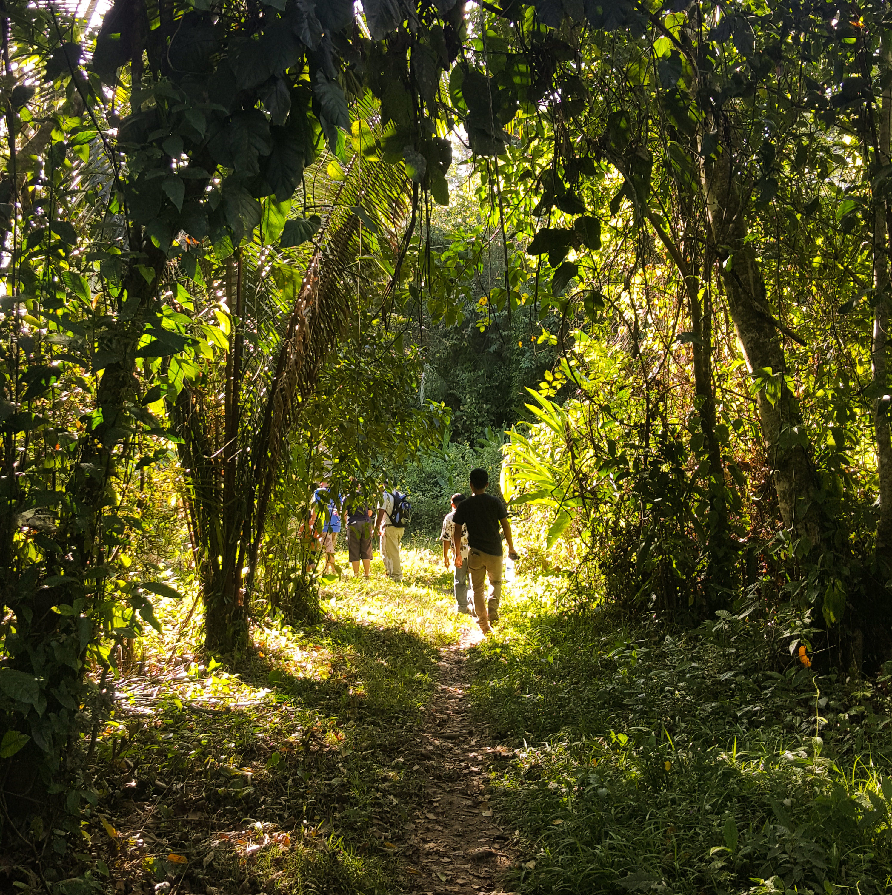 Belize_Toledo_MedinaBank_Tour_Swimming_Nature_Maya_Waterfalls_Tubing_Hiking_7-(2)